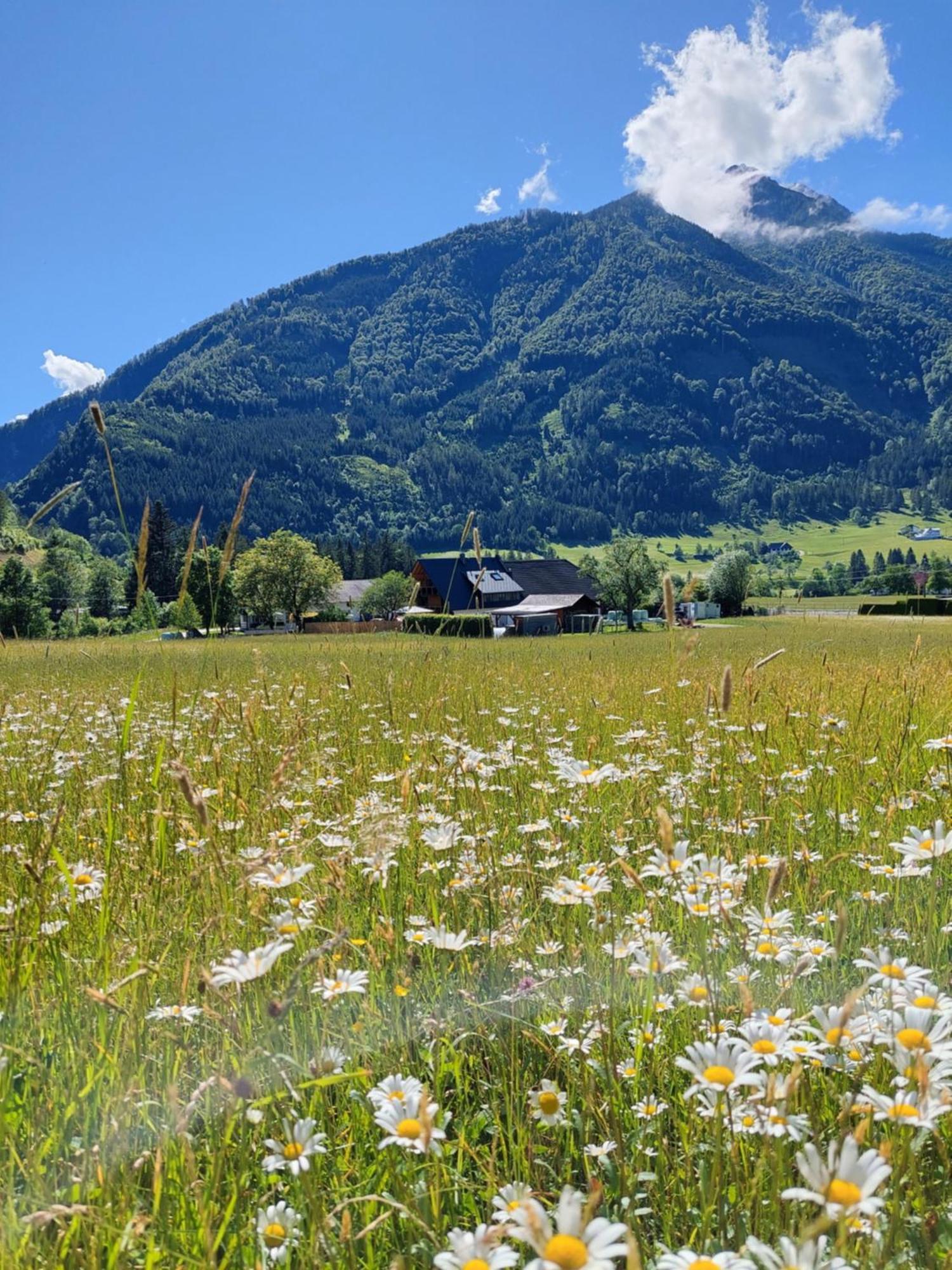 ヒンターシュトダーHofpower'S Mountain Feelingアパートメント エクステリア 写真